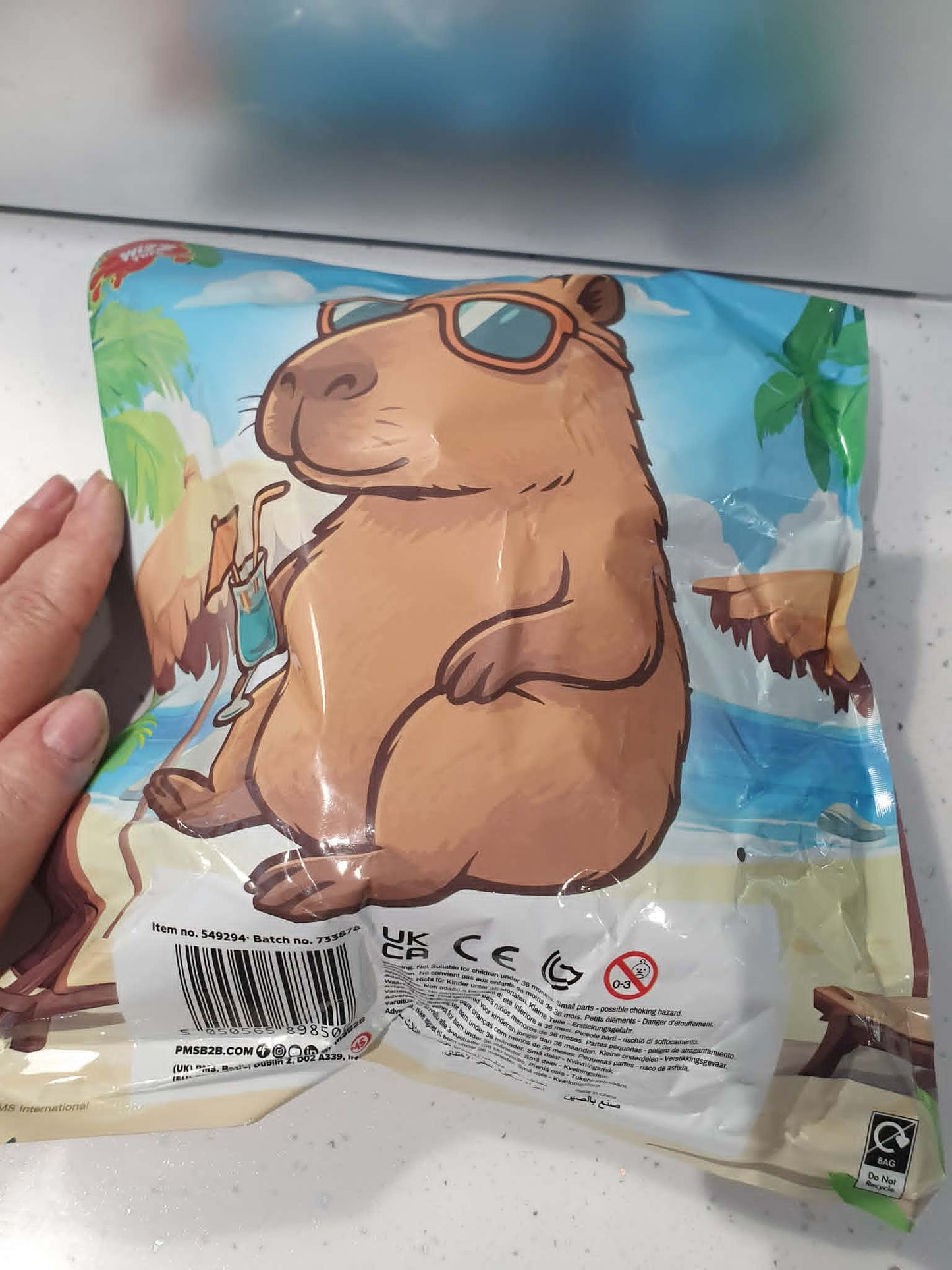 Giant squishy Capybara 15cm