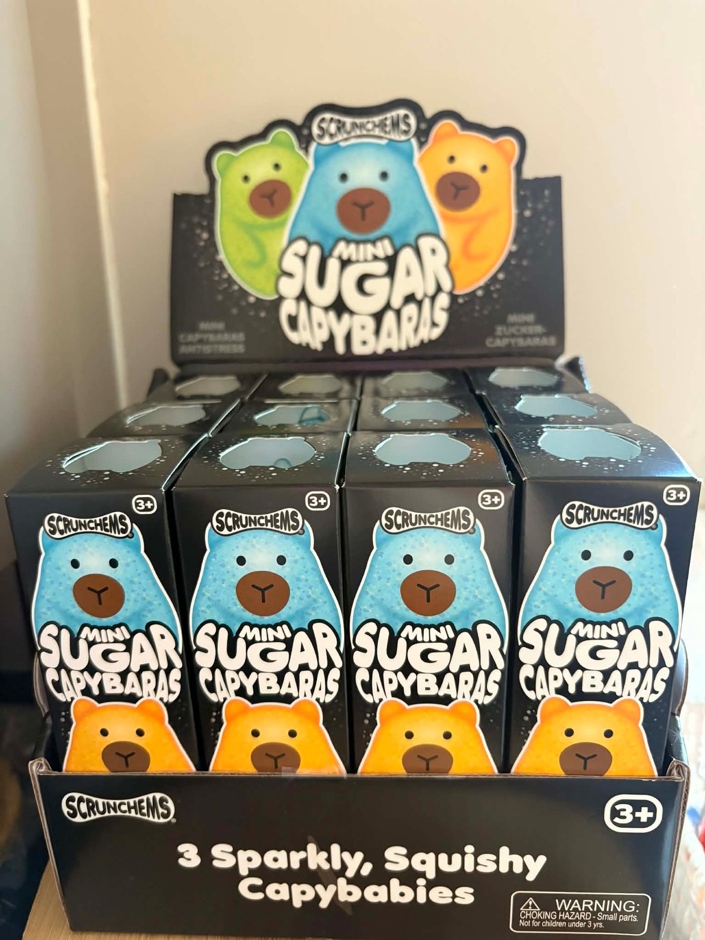 Sugar squishy Capybara, box of three different colours