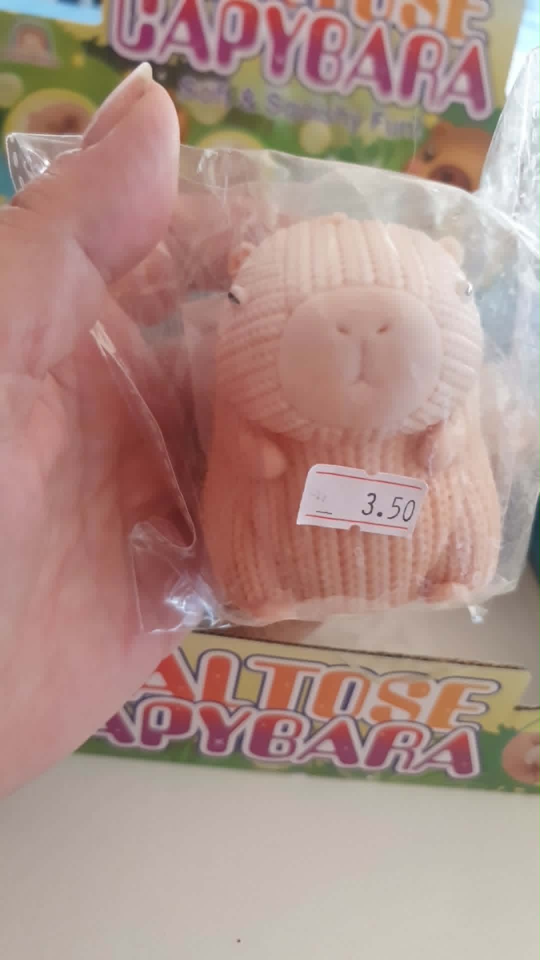 Maltese squishy capybara toy