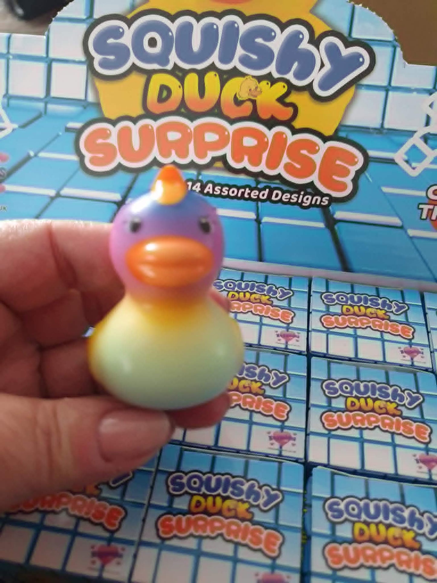 Surprise mini duck box