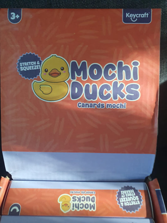 Mochi Ducks, 5 squishy ducks