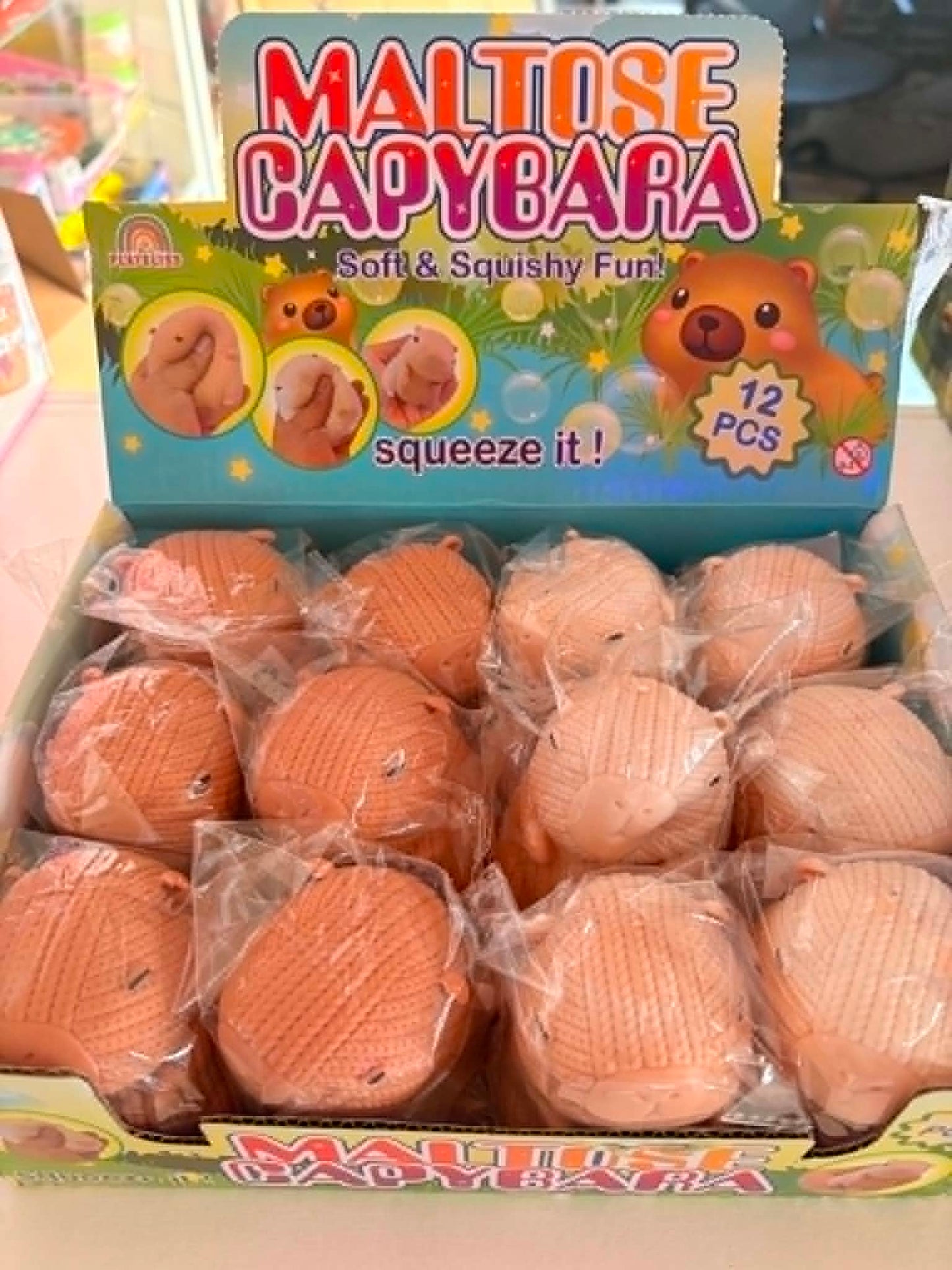Maltese squishy capybara toy