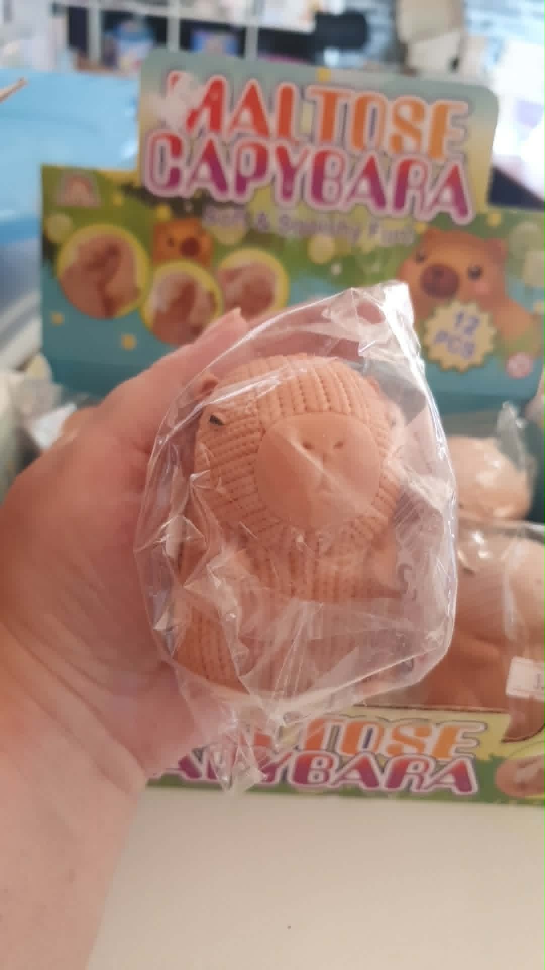 Maltese squishy capybara toy