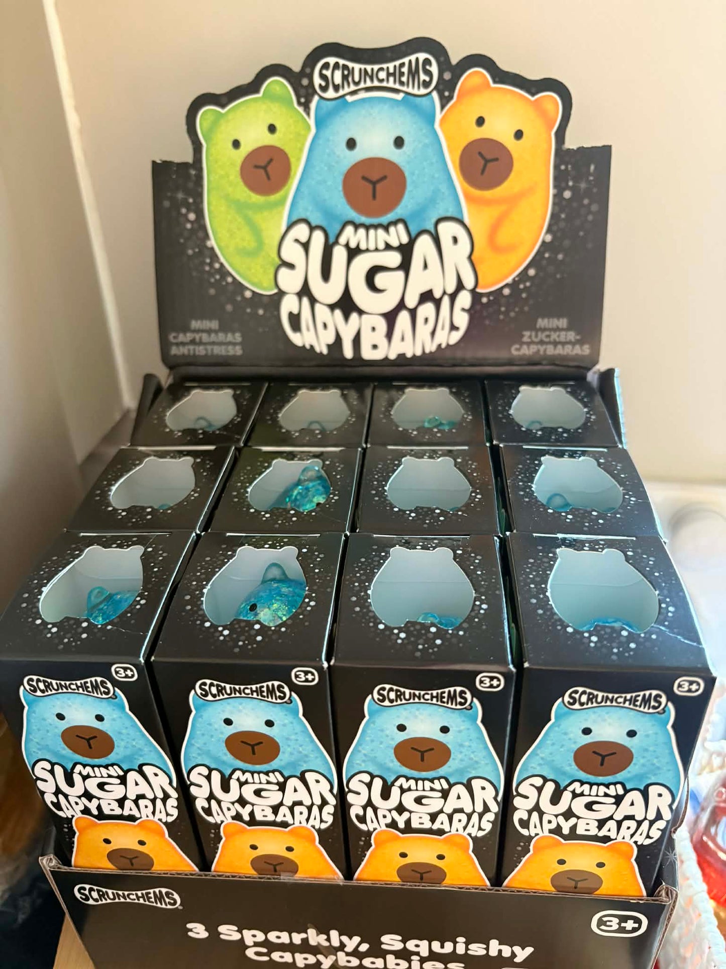 Sugar squishy Capybara, box of three different colours