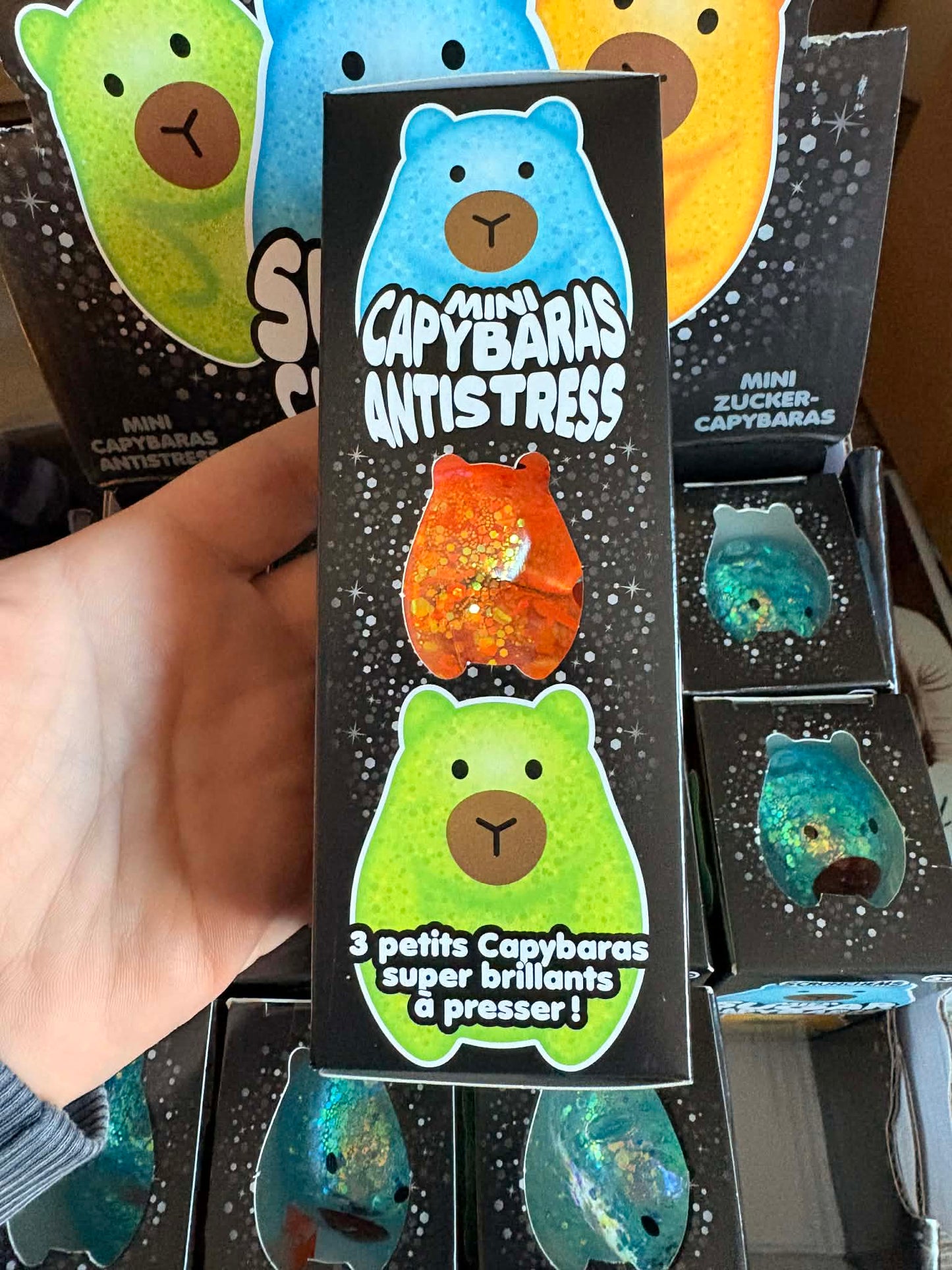 Sugar squishy Capybara, box of three different colours