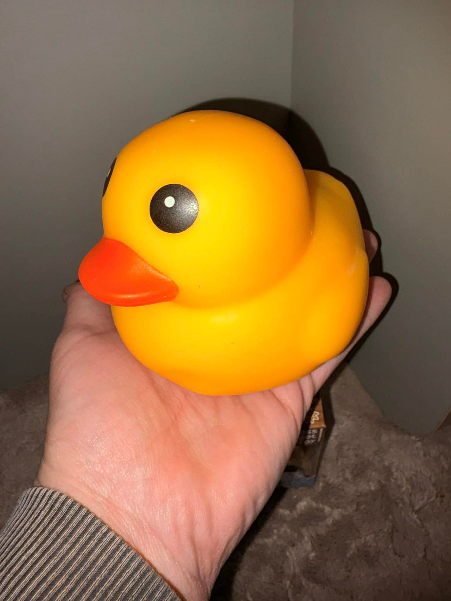 Giant foam filled squishy duck