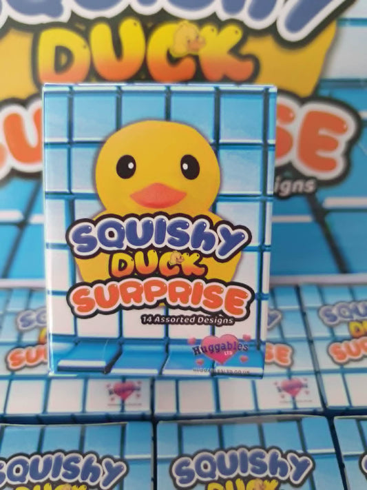 Surprise mini duck box